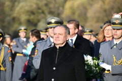 Zvi obrzok