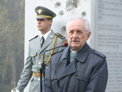 Zvi obrzok