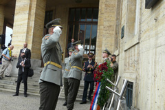 Zvi obrzok
