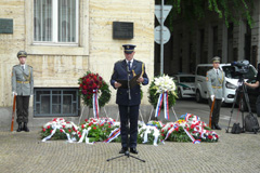 Zvi obrzok
