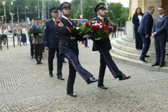 Zv��i obr�zok