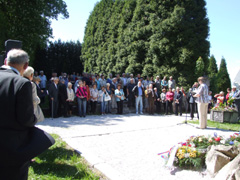 Zvi obrzok