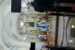Zvi obrzok
