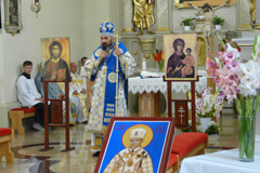 Zvi obrzok