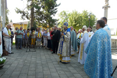 Zvi obrzok