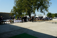 Zvi obrzok