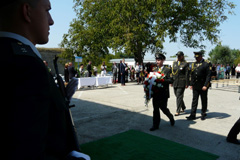 Zvi obrzok