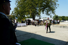 Zvi obrzok