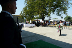 Zvi obrzok