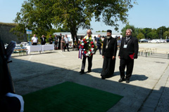 Zvi obrzok