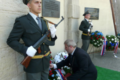 Zvi obrzok