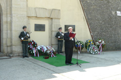 Zvi obrzok