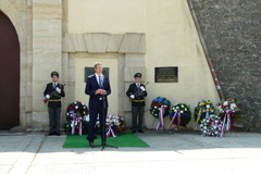 Zvi obrzok