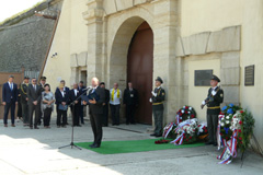 Zvi obrzok