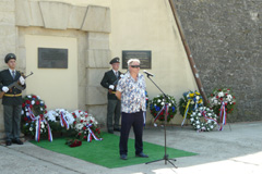 Zvi obrzok