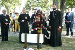 Zvi obrzok