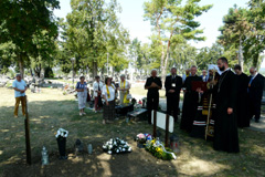 Zvi obrzok