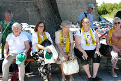 Zv��i obr�zok