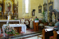 Zvi obrzok