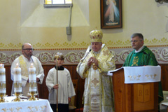Zvi obrzok