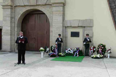 Zvi obrzok