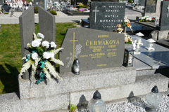Zv��i obr�zok
