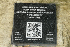 Zv��i obr�zok
