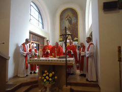 Zvi obrzok