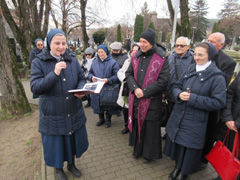Zvi obrzok