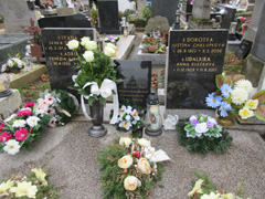 Zvi obrzok