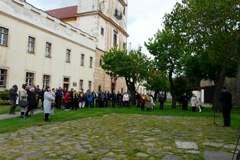 Zvi obrzok