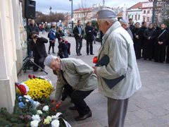 Zvi obrzok