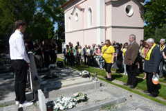 Zv��i obr�zok