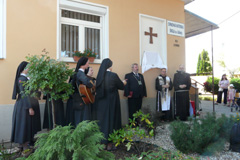 Zvi obrzok