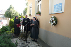 Zvi obrzok