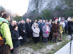 Zv��i obr�zok