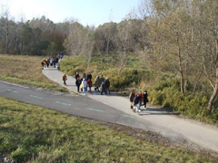 Zv��i obr�zok