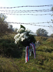 Zv��i obr�zok